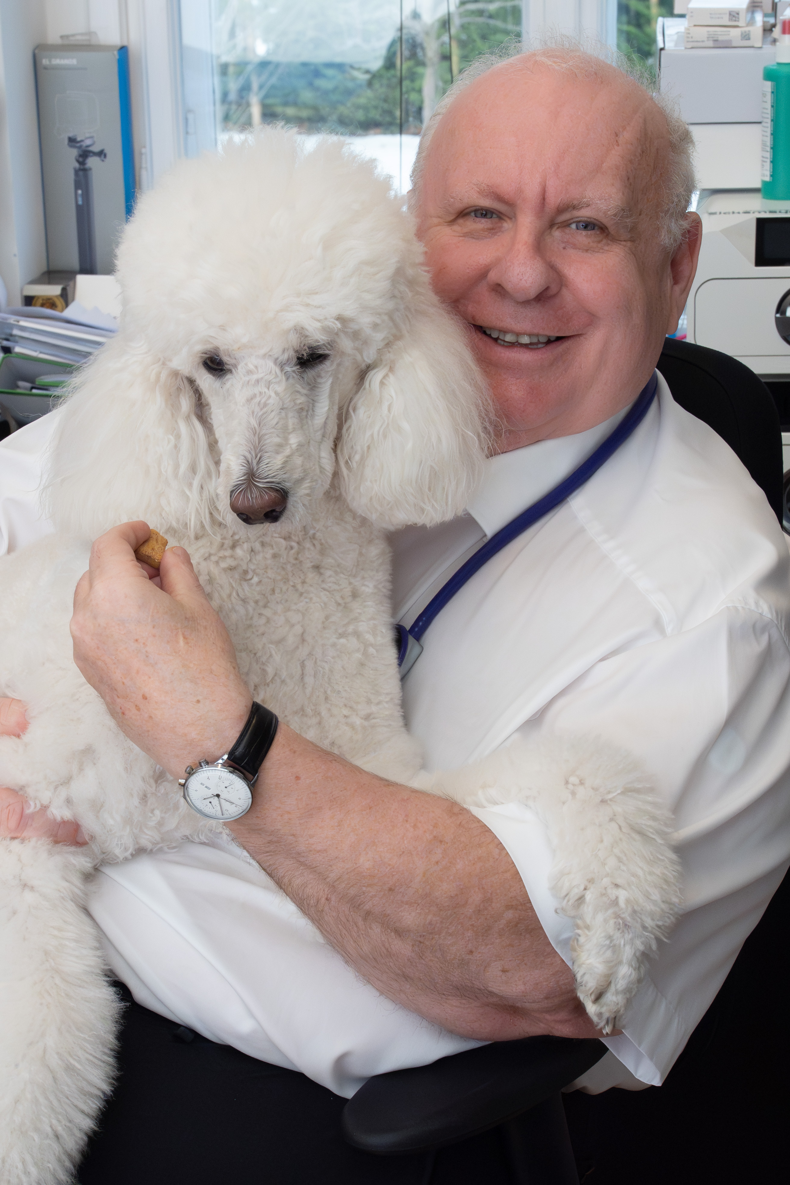 DDr. Antolini — Tierärztliche Ordination in Wien-Hietzing