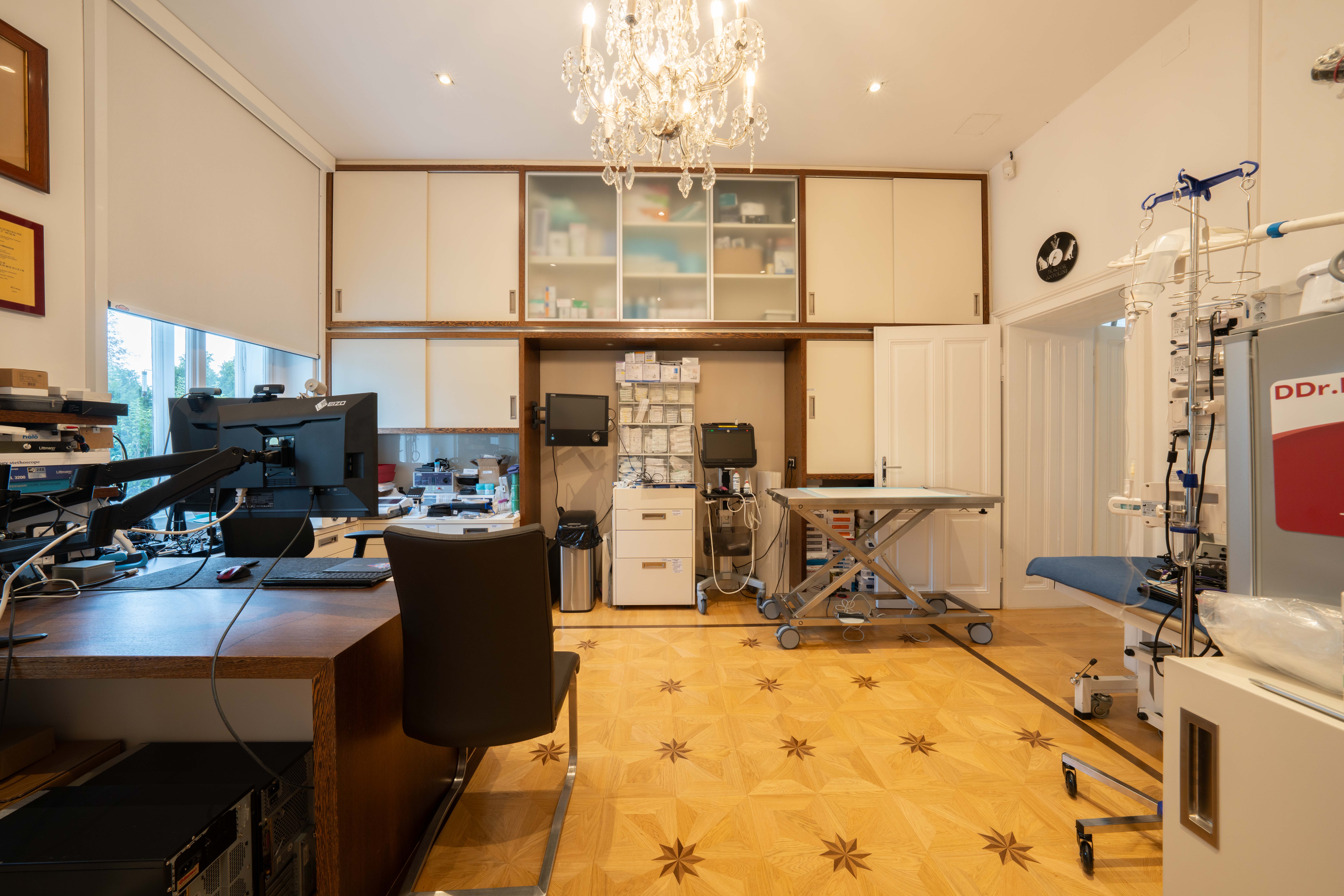 Operationsraum mit modernster Ausstattung und Behandlungstisch in der Tierarztpraxis DDr. Antolini Wien