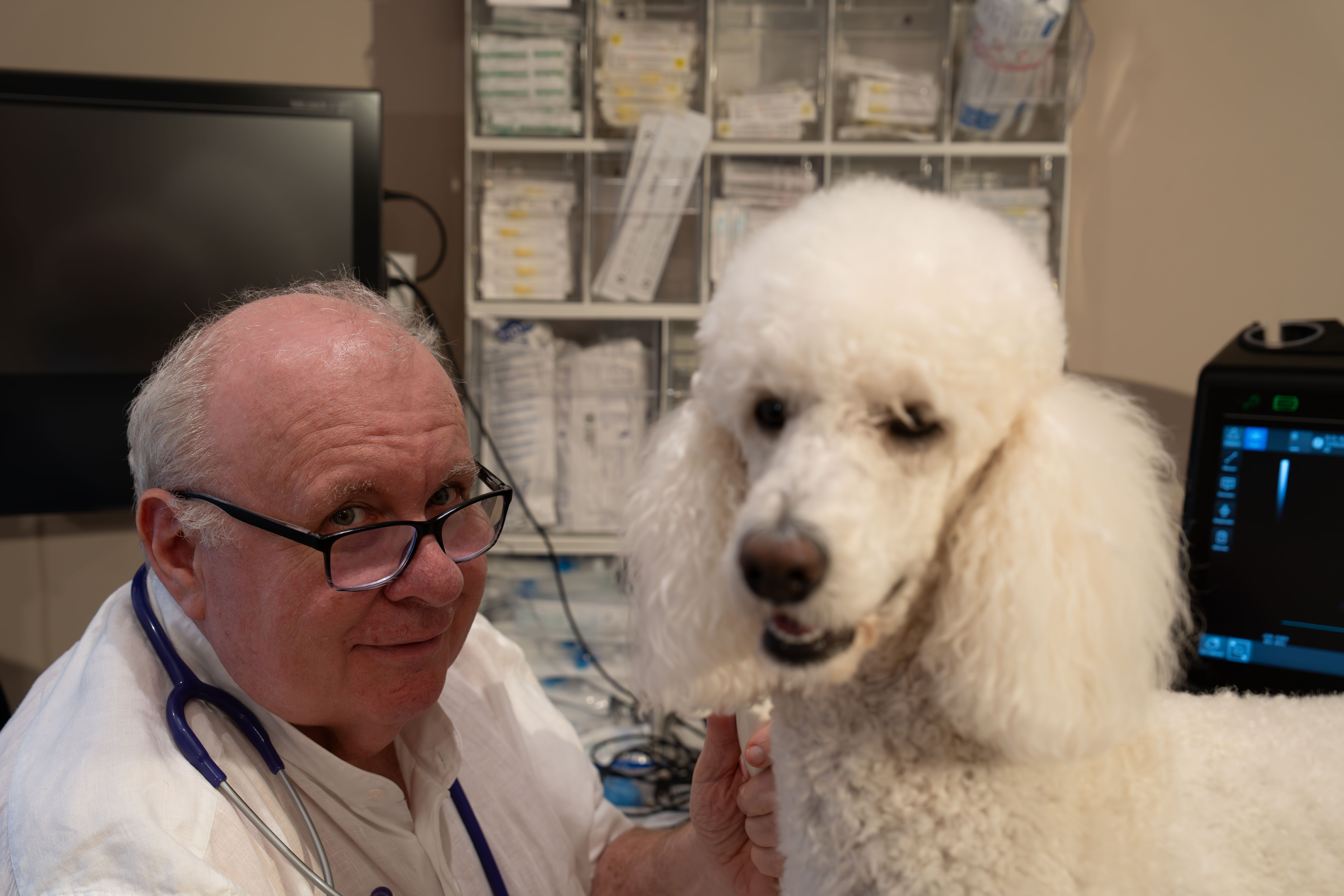 DDr. Michael Antolini umarmt liebevoll einen weißen Pudel — persönliche Tiermedizin in Wien-Hietzing